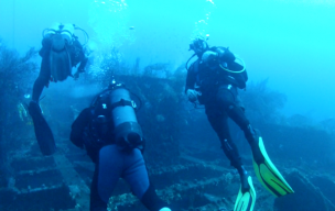 les sorties en milieu naturel