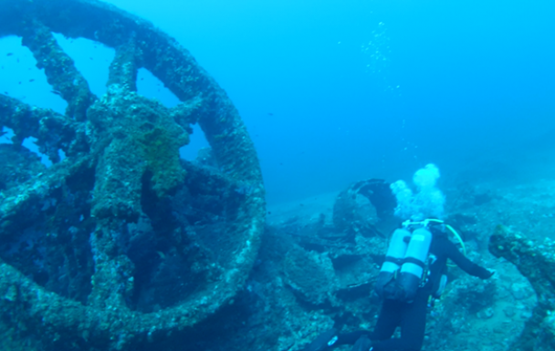 les sorties en milieu naturel